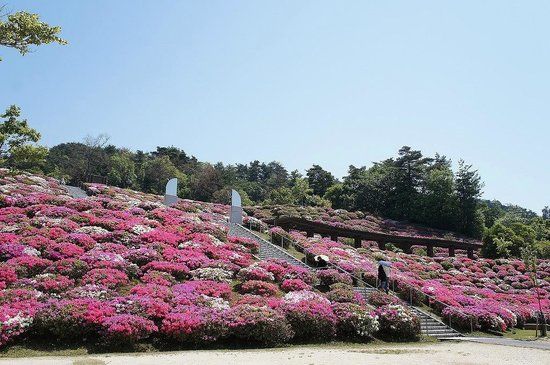 広島市森林公園